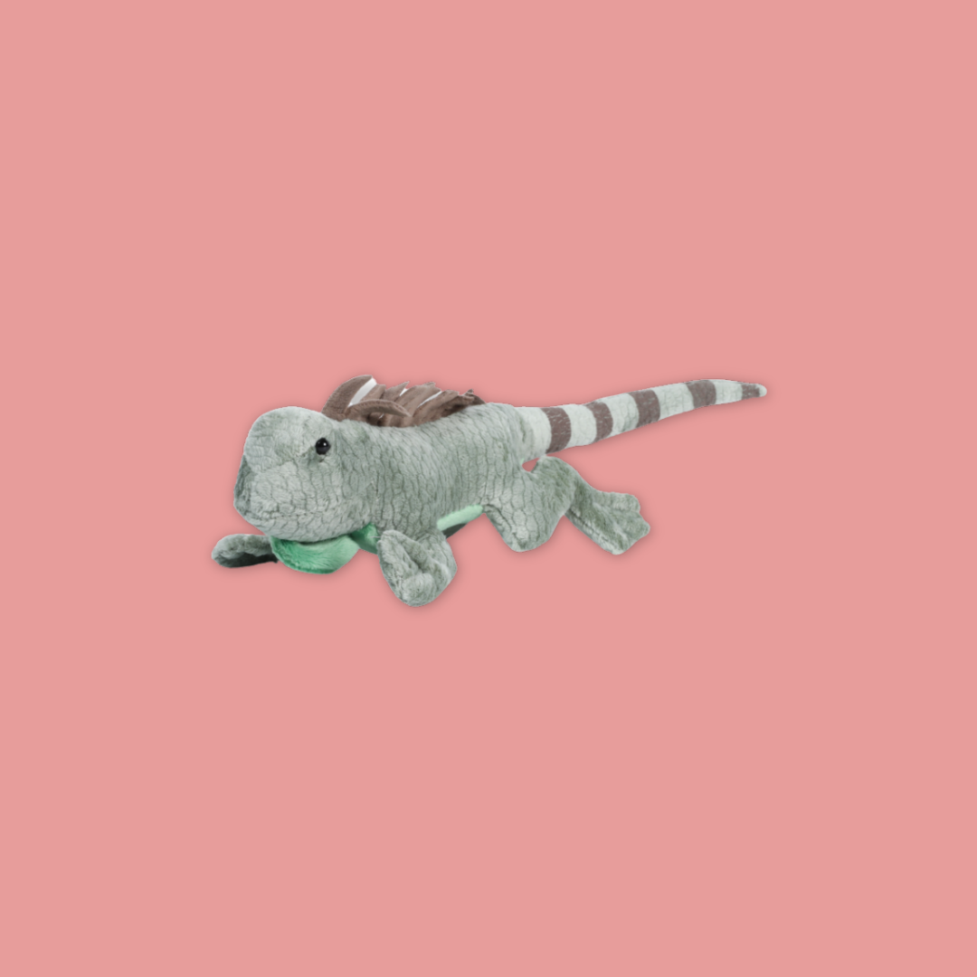 Discover Iguana Salamander at MANDAI WILDLIFE RESERVE