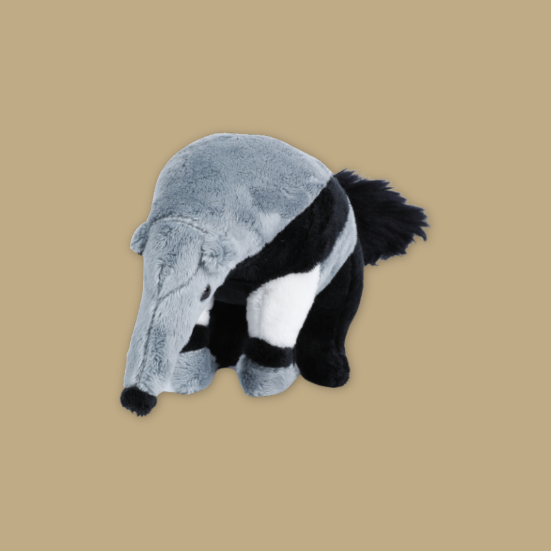 Anteater Tortoise Beanie Plush Exclusive MANDAI WILDLIFE RESERVE
