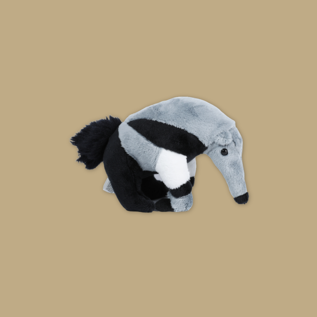 Anteater Tortoise Beanie Plush Exclusive MANDAI WILDLIFE RESERVE