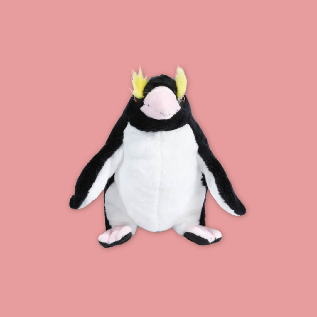 Penguins at Bird Paradise: A Glimpse into the World of These Charming Seabirds MANDAI WILDLIFE RESERVE