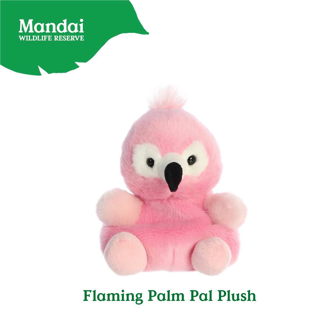 Adorable Animal Hippo Chick Sahal Owl Barnie Owl Stingray Luna Bat Flamingo Macaw Palm Pal Plush MANDAI WILDLIFE RESERVE