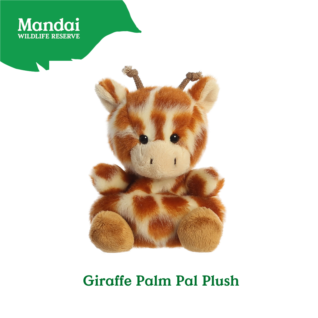 Adorable Tiger W Tiger Lion Cheetah Monkey Elephant Giraffe Beanie Plush Toy Palm Pal MANDAI WILDLIFE RESERVE