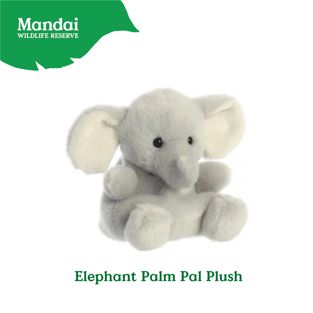 Adorable Tiger W Tiger Lion Cheetah Monkey Elephant Giraffe Beanie Plush Toy Palm Pal MANDAI WILDLIFE RESERVE