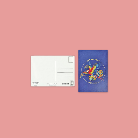 Flying With Colour Macaw Postcard