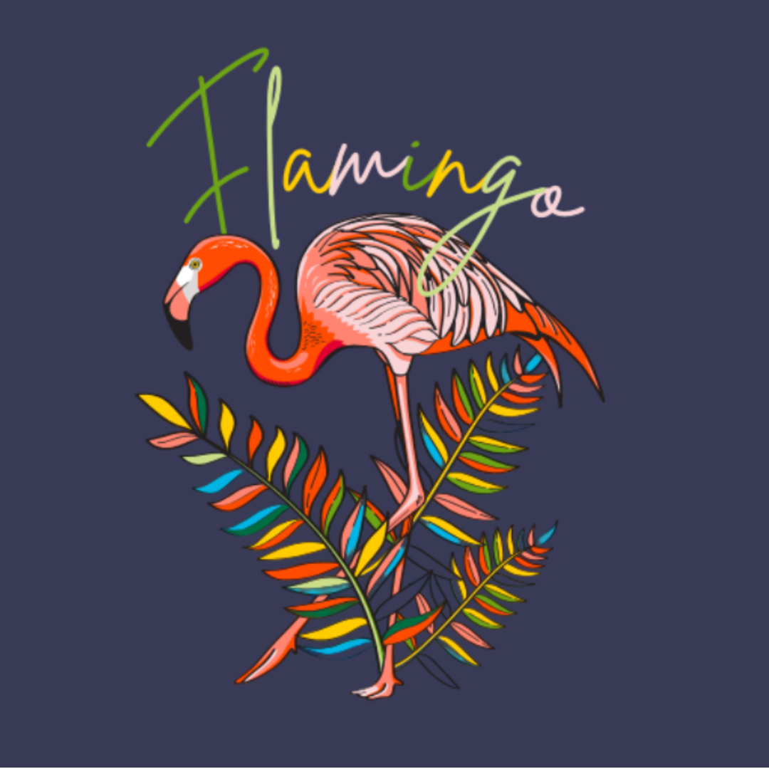 Flying With Colour Flamingo Girl Shorts