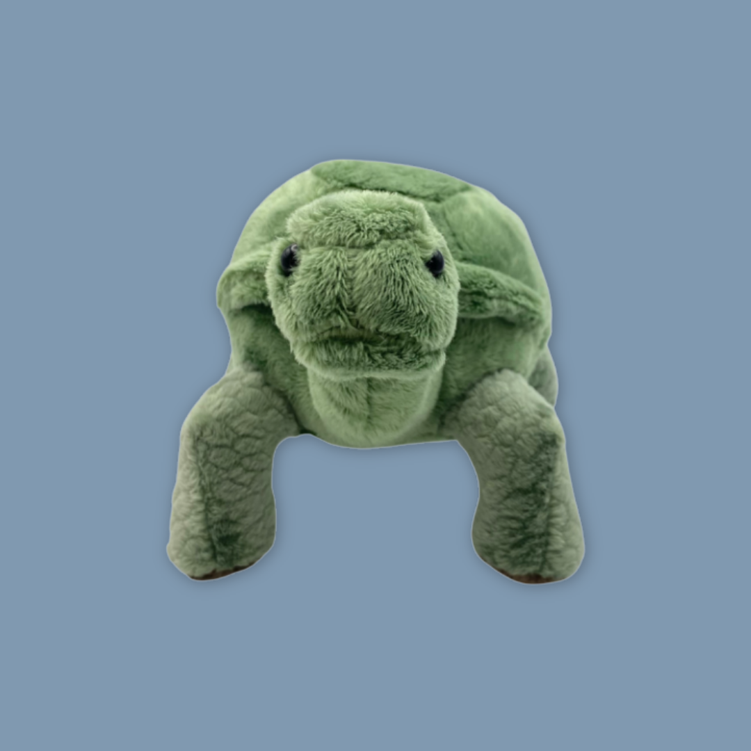 Anteater Tortoise Beanie Plush Exclusive MANDAI WILDLIFE RESERVE