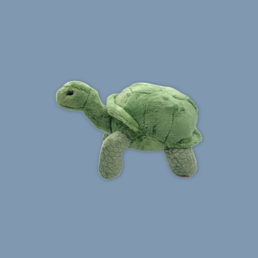 Anteater Tortoise Beanie Plush Exclusive MANDAI WILDLIFE RESERVE
