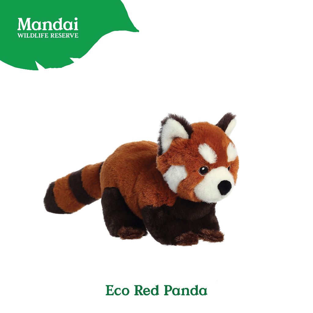 Panda Red Panda Plush Toy Stuffed Animal with Realistic Details Good Sleeping Buddy MANDAI WILDLIFE RESERVE