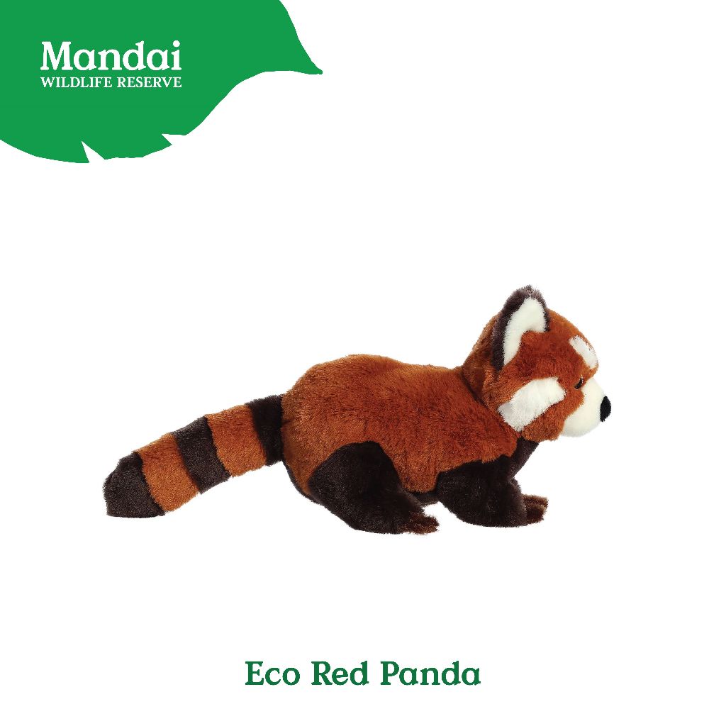 Panda Red Panda Plush Toy Stuffed Animal with Realistic Details Good Sleeping Buddy MANDAI WILDLIFE RESERVE