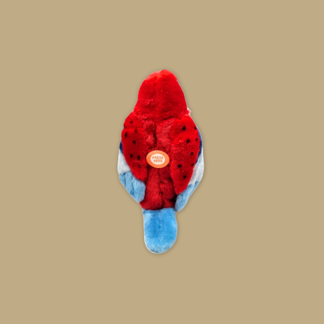 Crimson Rosella Plush with Sound – Lifelike Bird Toy Inspired by Nature MANDAI WILDLIFE RESERVE