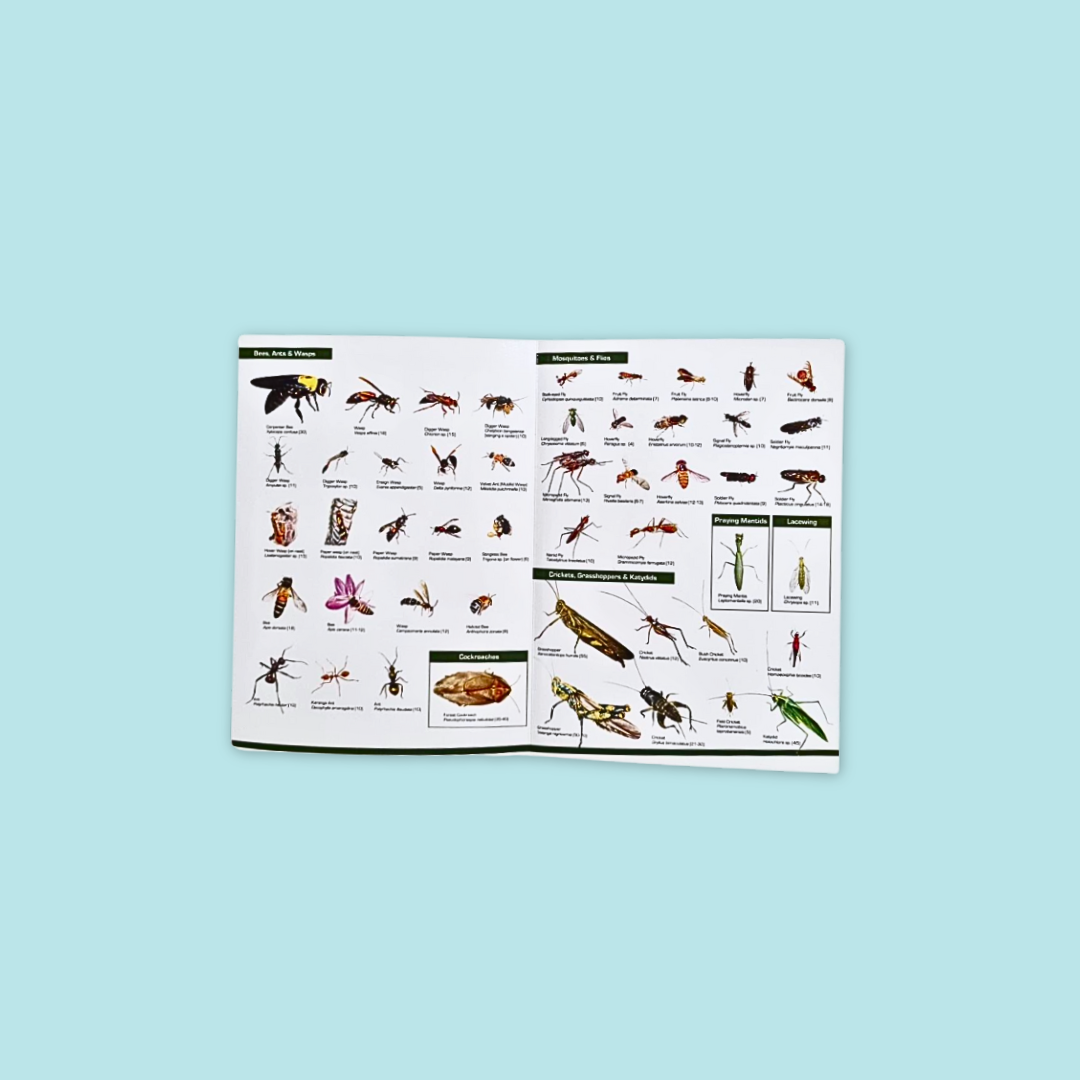 Guide to Common Insects & Birds of Park & Garden at MANDAI WILDLIFE RESERVE