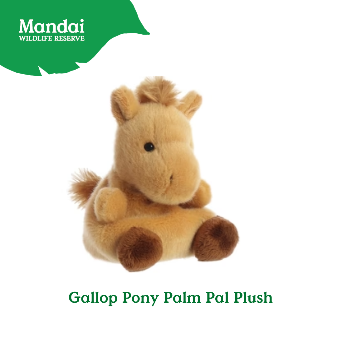 Adorable Animal Spotted Pig Hamster Guinea Pig Pony Bunnies Palm Pal Plush MANDAI WILDLIFE RESERVE
