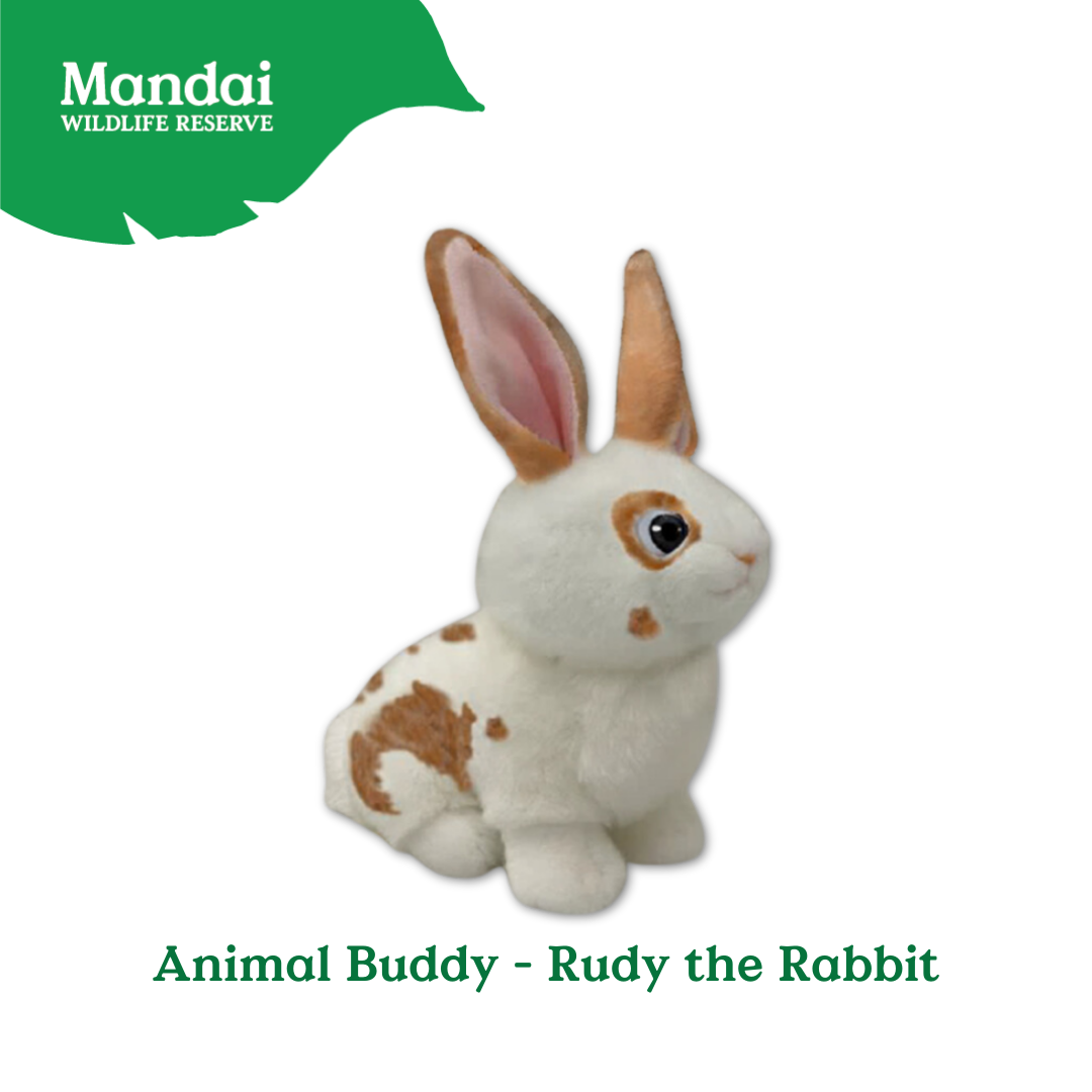 The cute and cuddly Rabbit Beanie Plush Keychain from MANDAI WILDLIFE RESERVE makes a perfect companion and keepsake