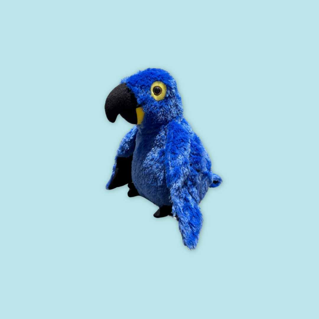 Macaw & Hyacinth Macaw Plush with Egg – Bird Paradise MANDAI WILDLIFE RESERVE
