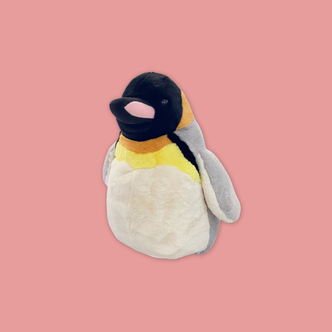 Penguins at Bird Paradise: Explore the world of King Penguins - MANDAI WILDLIFE RESERVE