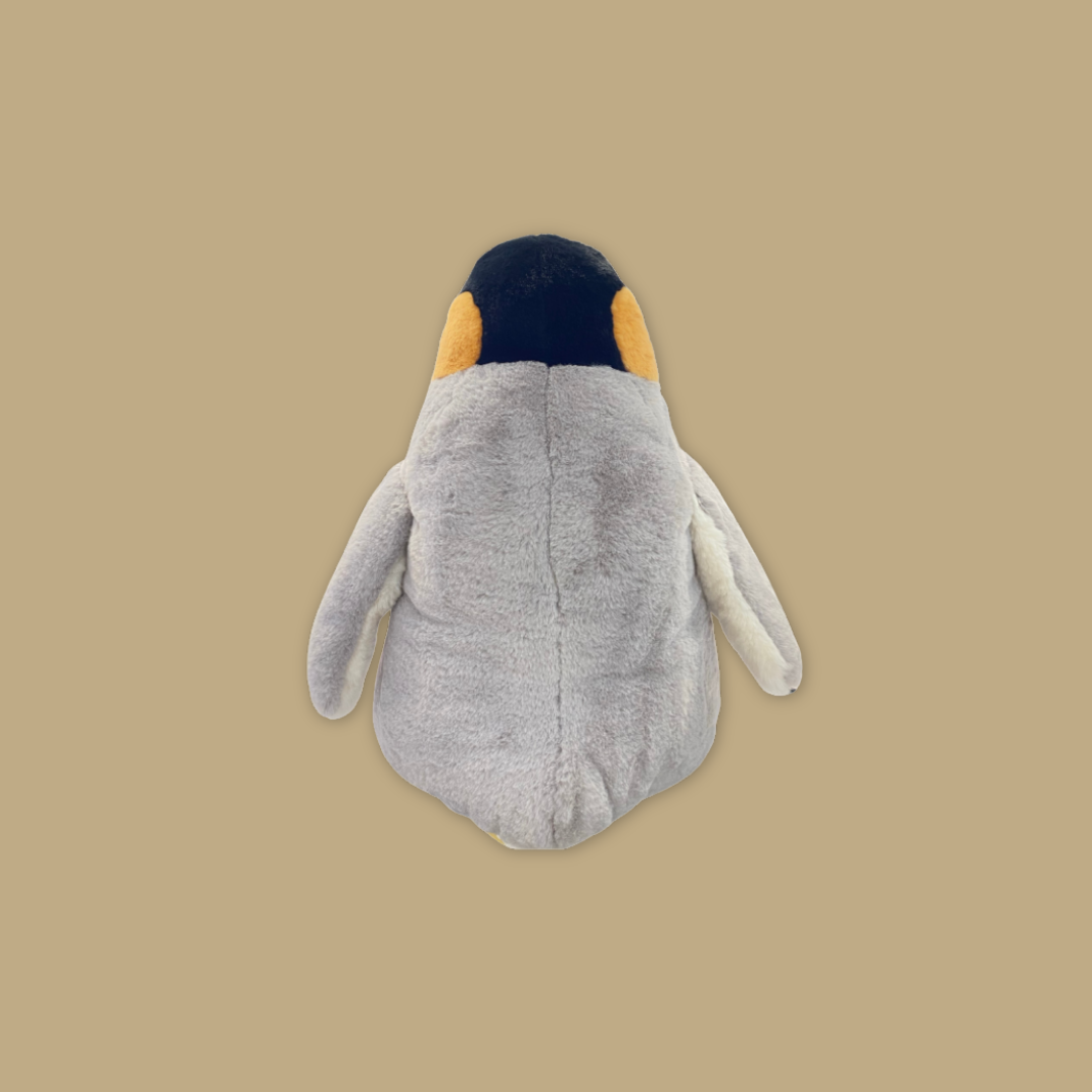 Penguins at Bird Paradise: Explore the world of King Penguins - MANDAI WILDLIFE RESERVE
