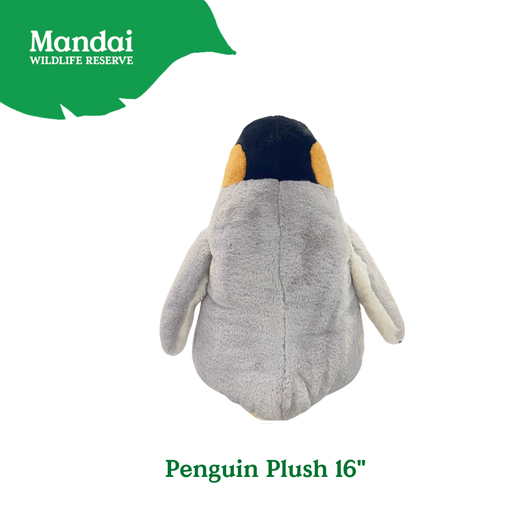 Penguins at Bird Paradise: A Glimpse into the World of These Charming Seabirds MANDAI WILDLIFE RESERVE