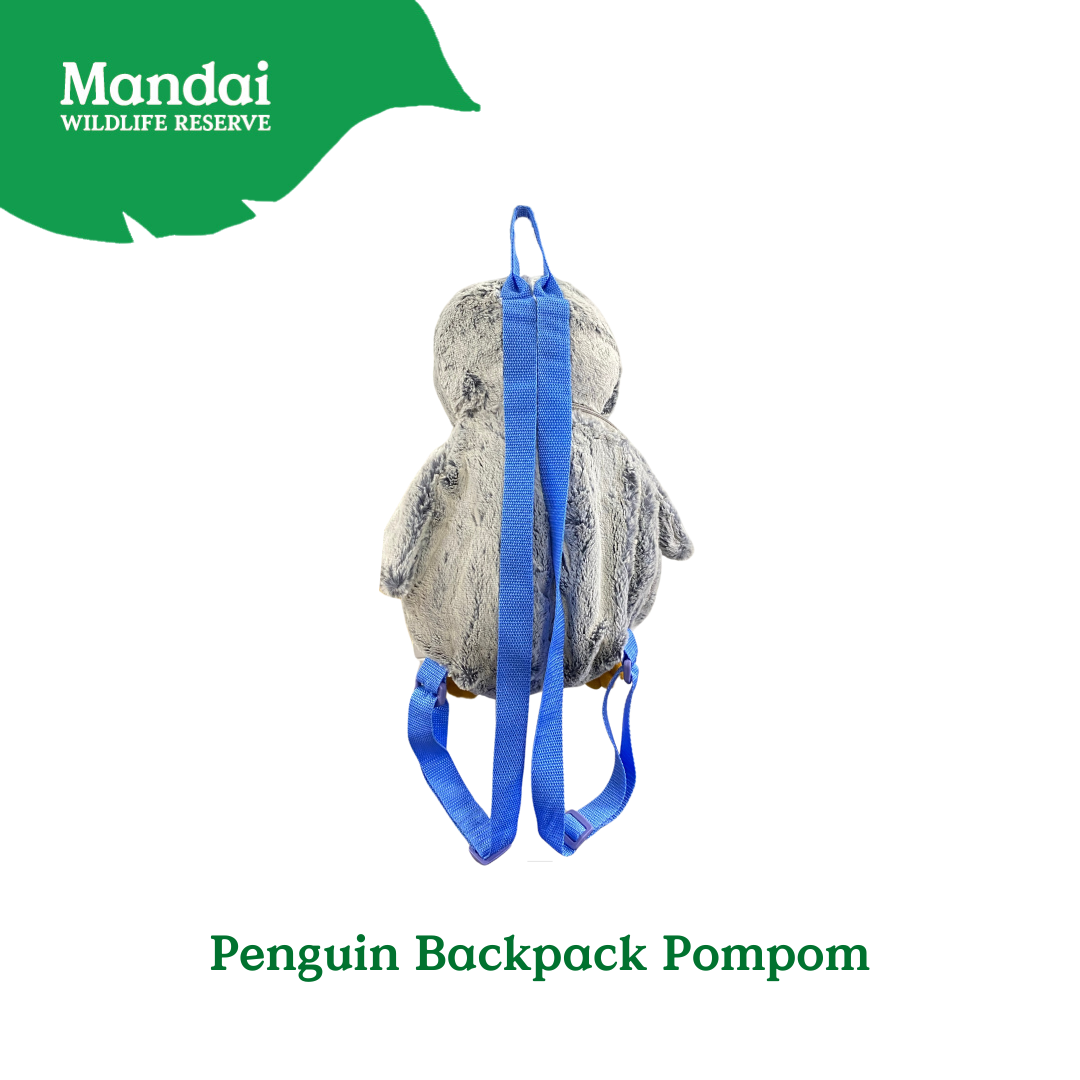 Penguins at Bird Paradise: A Glimpse into the World of These Charming Seabirds MANDAI WILDLIFE RESERVE