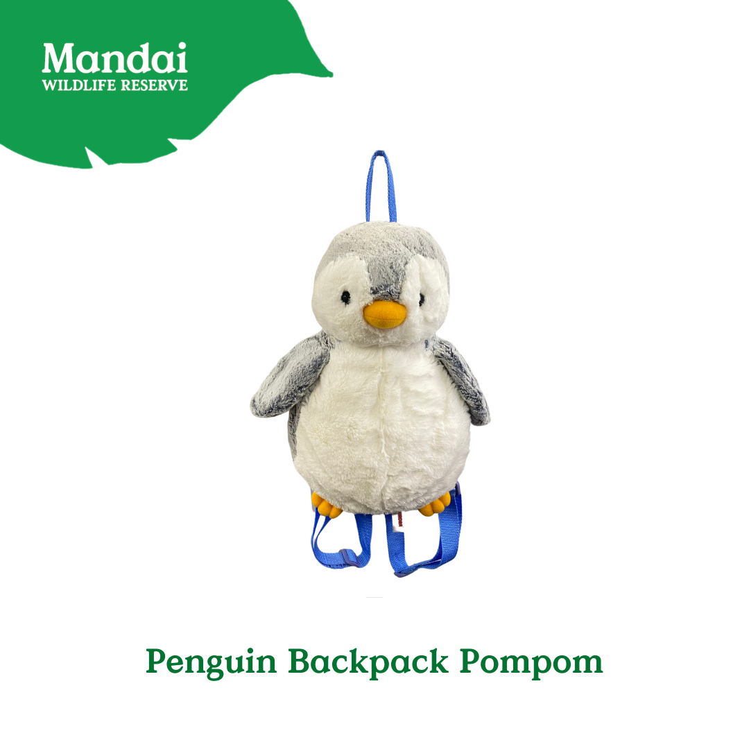 Penguins at Bird Paradise: A Glimpse into the World of These Charming Seabirds MANDAI WILDLIFE RESERVE