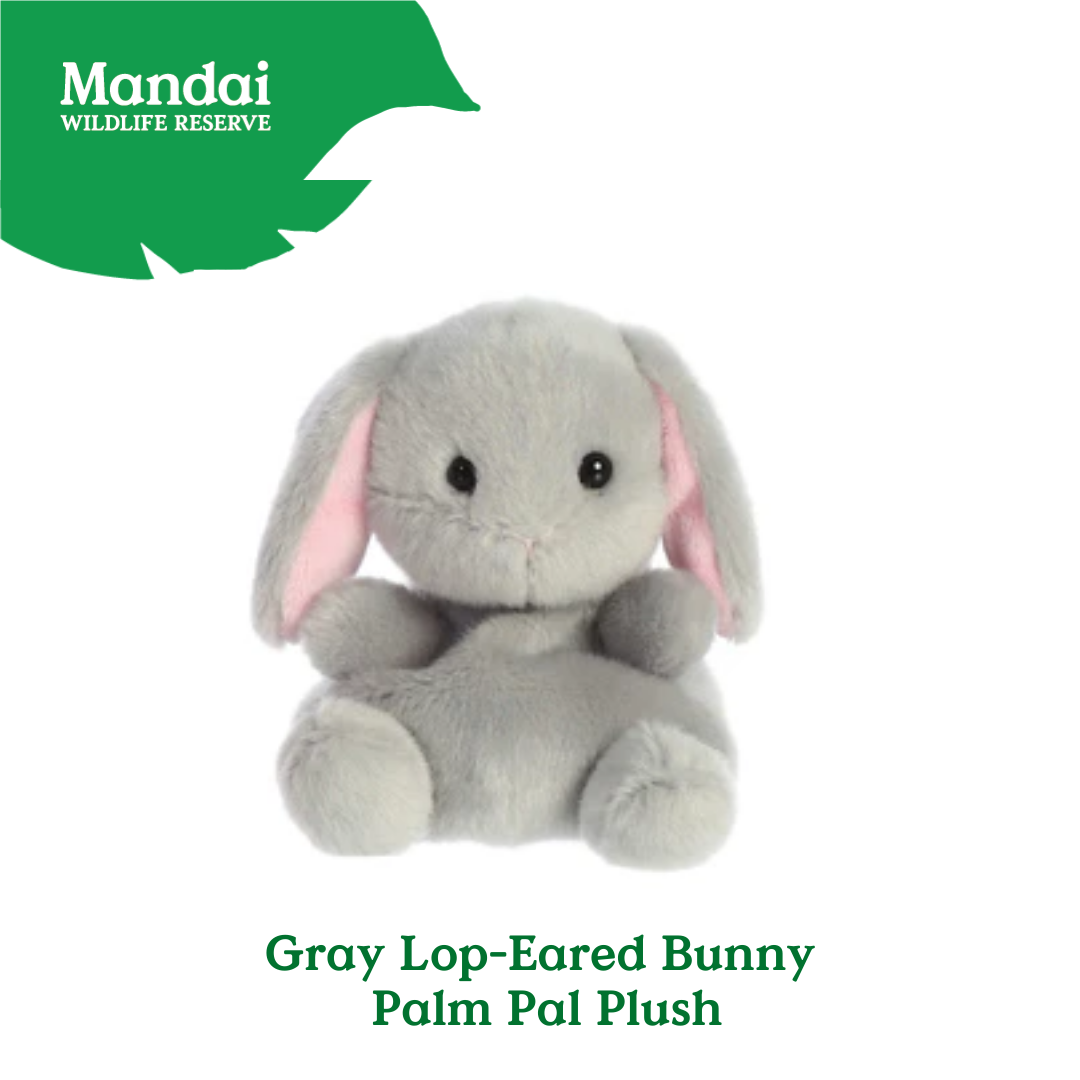 Adorable Animal Spotted Pig Hamster Guinea Pig Pony Bunnies Palm Pal Plush MANDAI WILDLIFE RESERVE