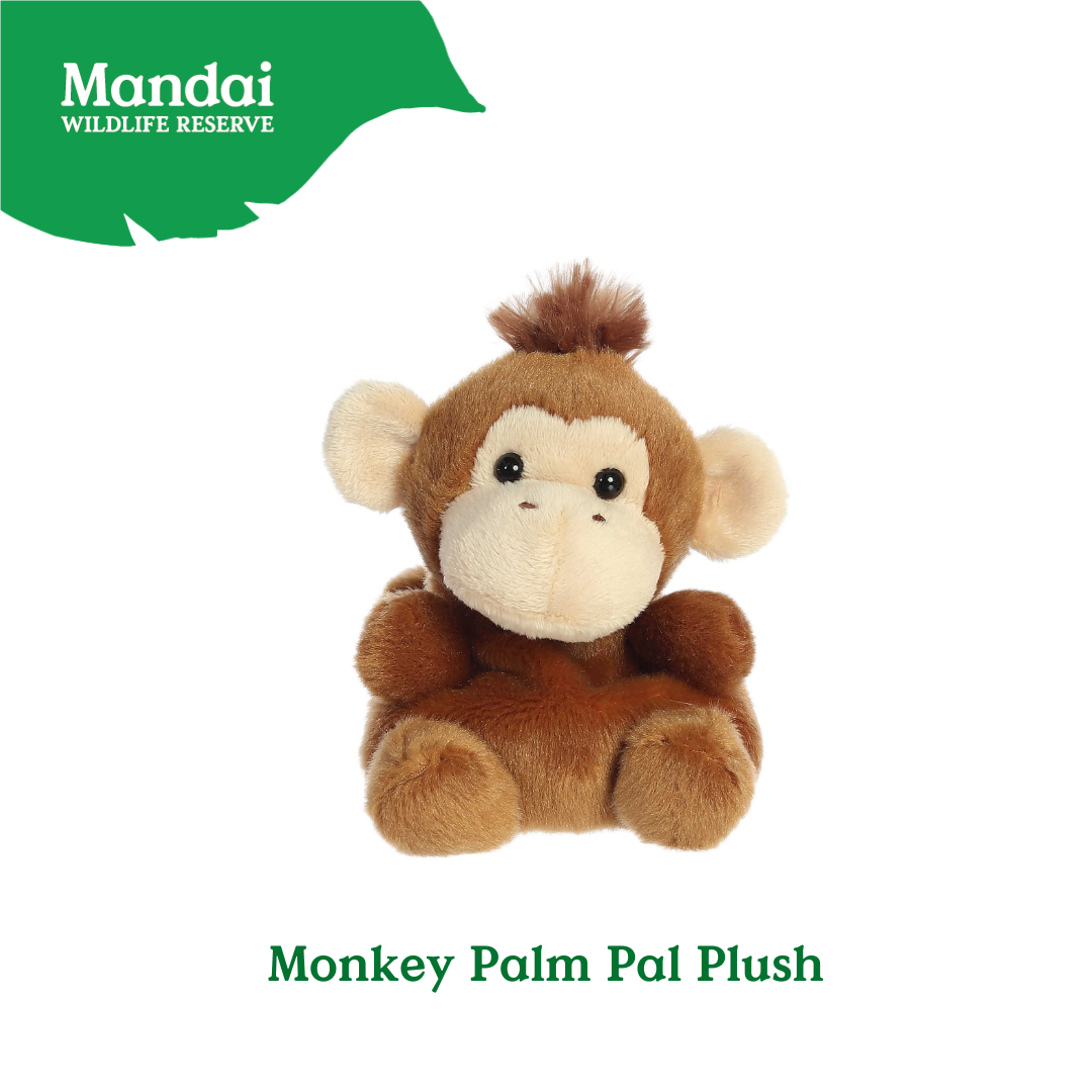 Adorable Tiger W Tiger Lion Cheetah Monkey Elephant Giraffe Beanie Plush Toy Palm Pal MANDAI WILDLIFE RESERVE