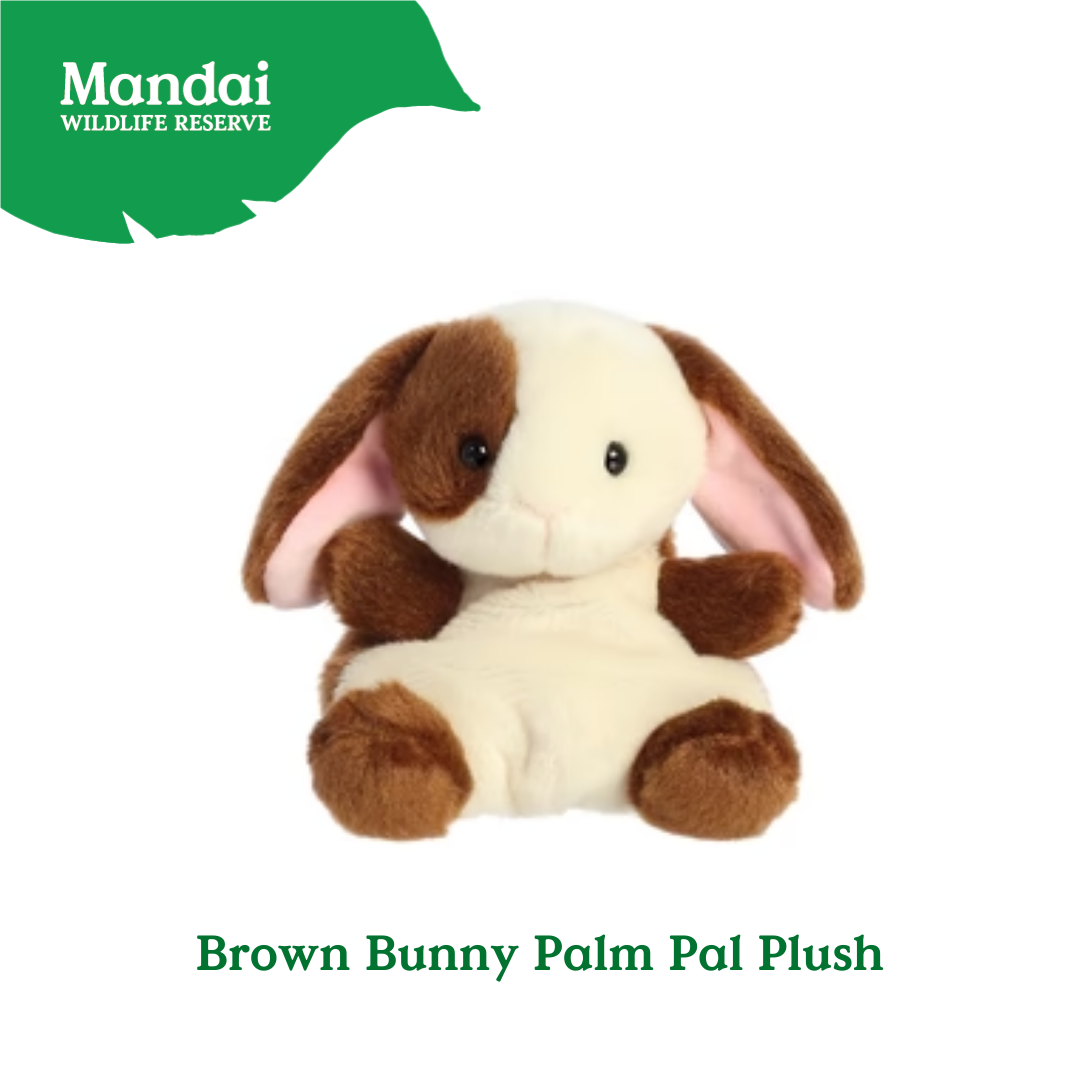 Adorable Animal Spotted Pig Hamster Guinea Pig Pony Bunnies Palm Pal Plush MANDAI WILDLIFE RESERVE