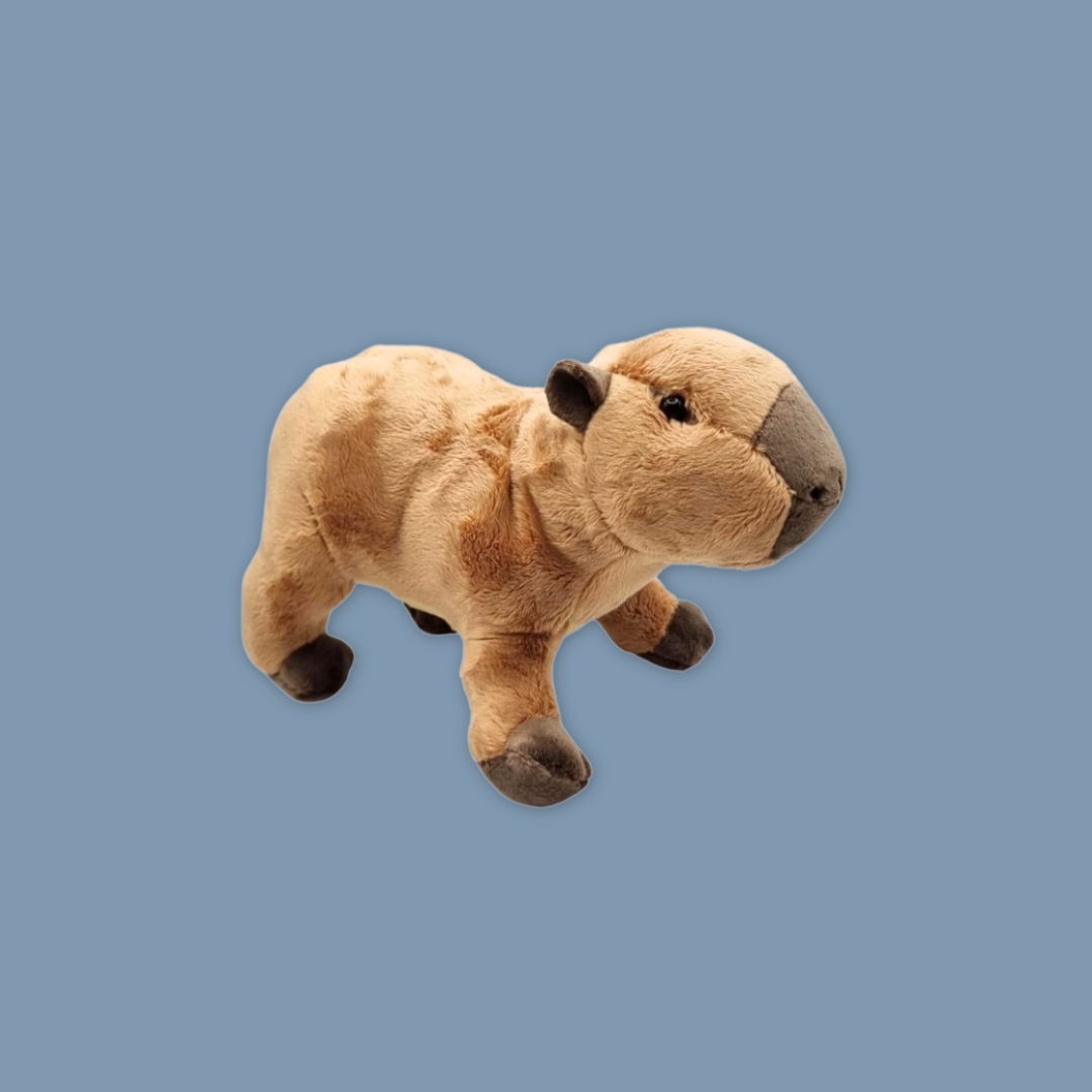 Adorable Capybara Plush Collection available exclusively at MANDAI WILDLIFE RESERVE