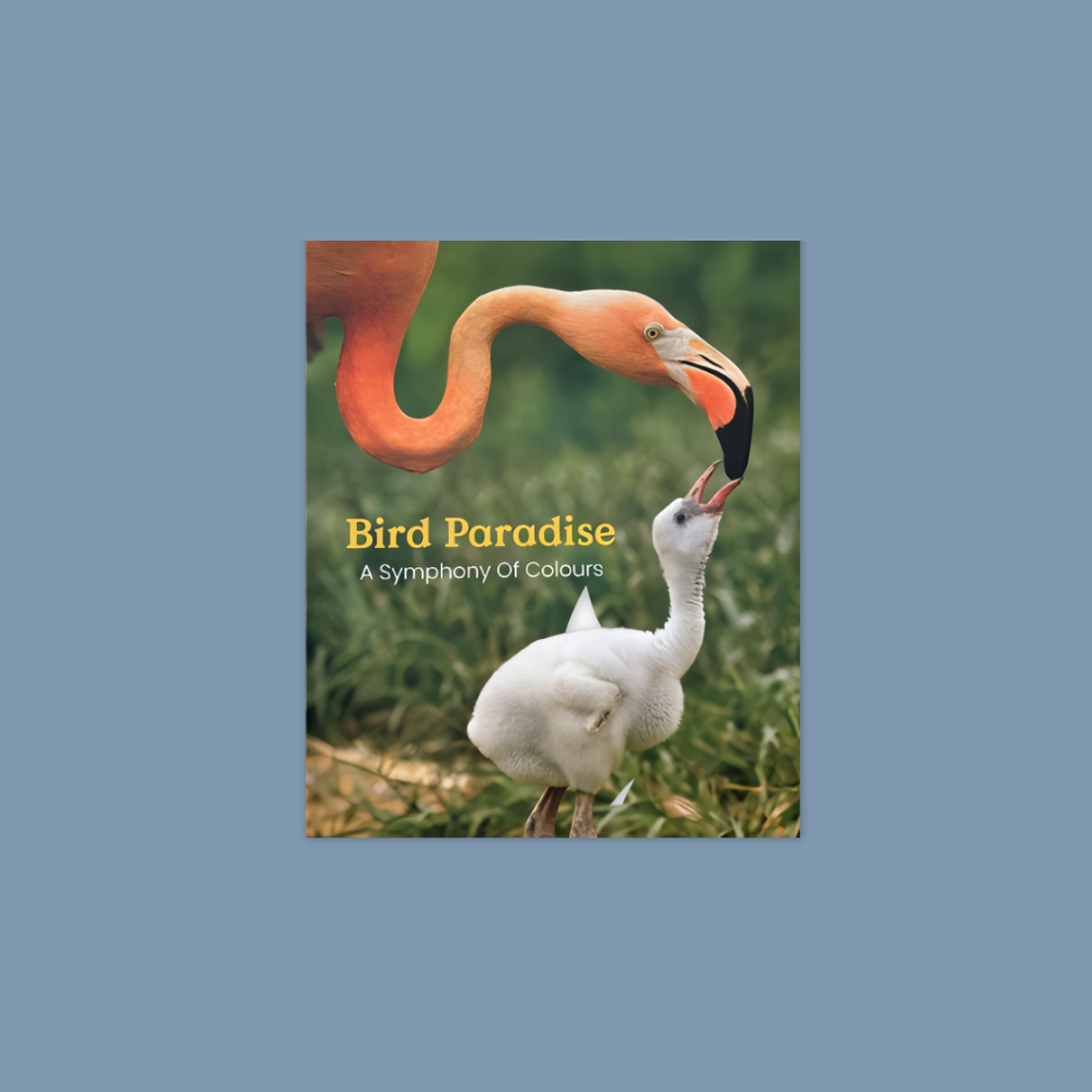 Bird Paradise A Symphony Of Colours Book MANDAI WILDLIFE RESERVE