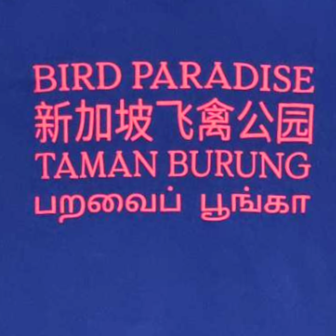 Bird Paradise Hornbill Map Adult T-Shirt MANDAI WILDLIFE RESERVE