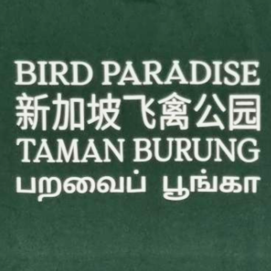 Bird Paradise Lory Map Adult T-Shirt MANDAI WILDLIFE RESERVE