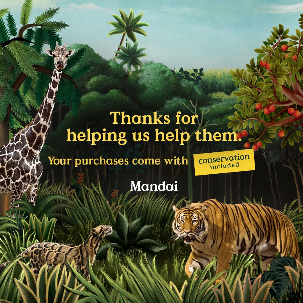 Elephant Placemat Panda White Tiger Animal MANDAI WILDLIFE RESERVE