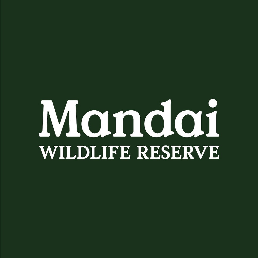 Elephant Placemat Panda White Tiger Animal MANDAI WILDLIFE RESERVE