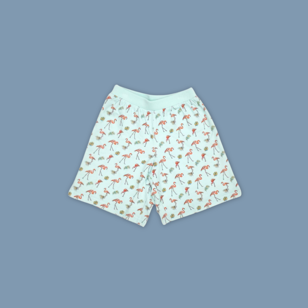 Kids AOP Flamingo Shorts – Tropical Fun at Bird Paradise MANDAI WILDLIFE RESERVE