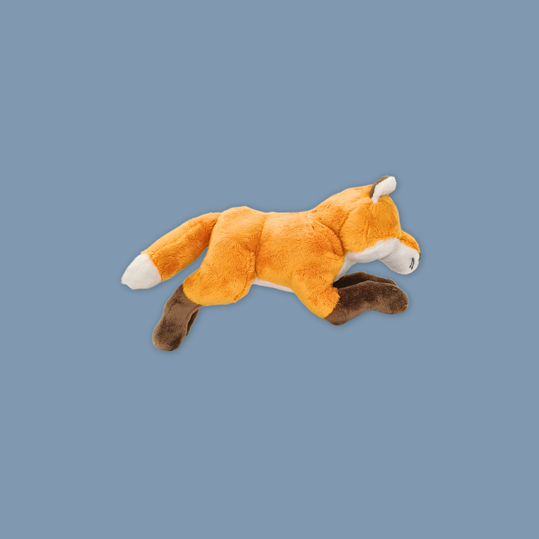 Wolf Bat Black Bear Meerkat Kangaroo Fox Raccoon Beanie Plush Toy from MANDAI WILDLIFE RESERVE