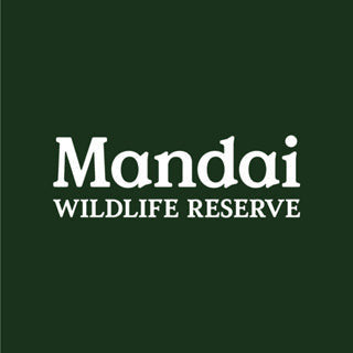Penguins at Bird Paradise: A Glimpse into the World of These Charming Seabirds MANDAI WILDLIFE RESERVE