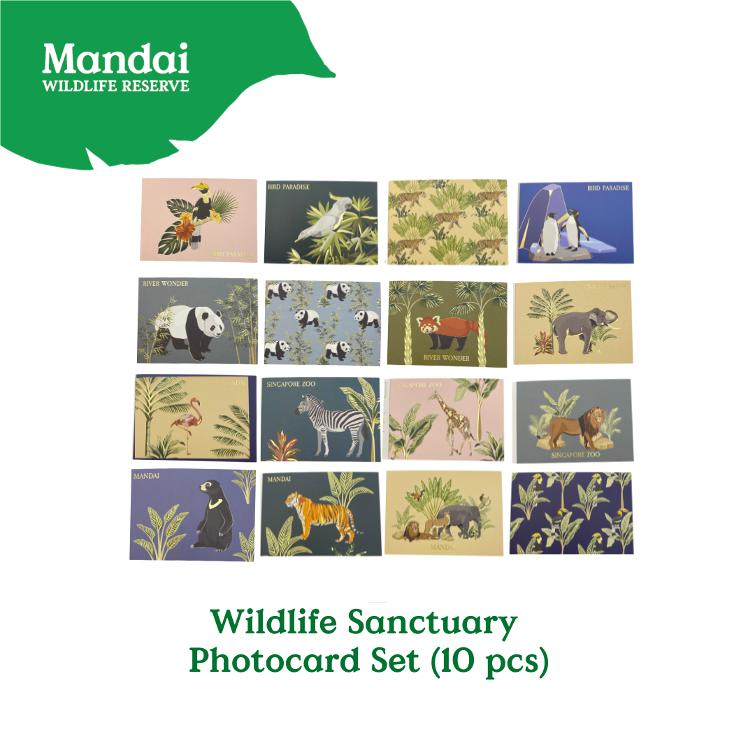 Exclusive Wildlife Sensually Postcard Set MANDAI WILDLIFE RESERVE