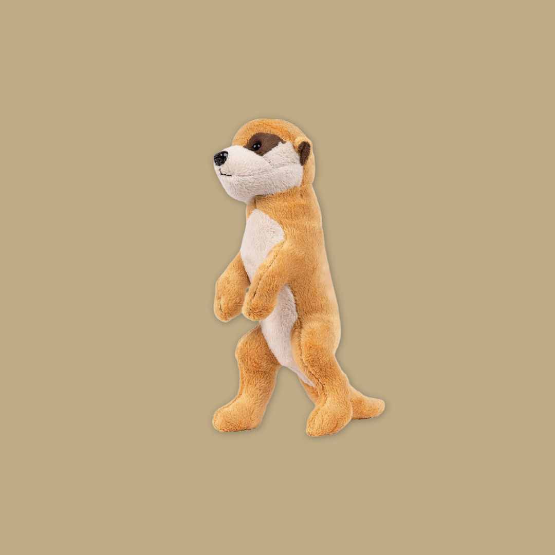 Wolf Bat Black Bear Meerkat Kangaroo Fox Raccoon Beanie Plush Toy from MANDAI WILDLIFE RESERVE