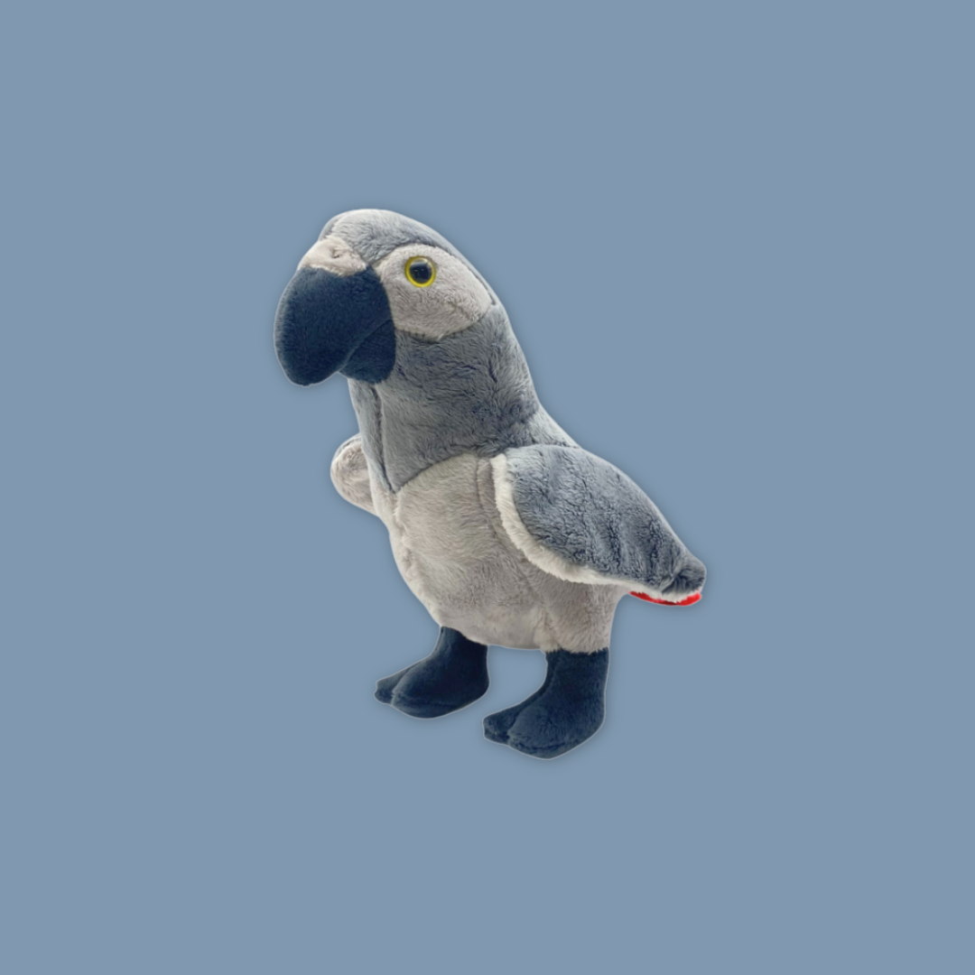 Parrot Plushie – Vibrant, Cuddly, and Playful MANDAI WILDLIFE RESERVE