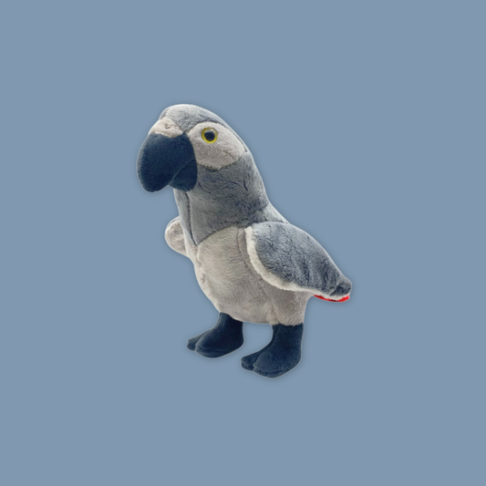 Grey Parrot Beanie Plush