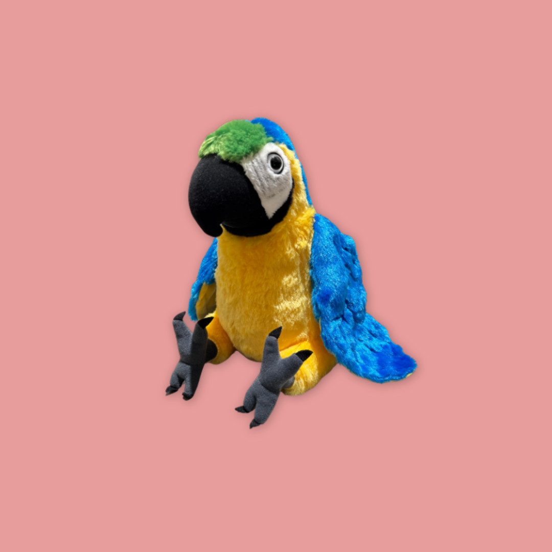 Parrot Plushie – Vibrant, Cuddly, and Playful MANDAI WILDLIFE RESERVE