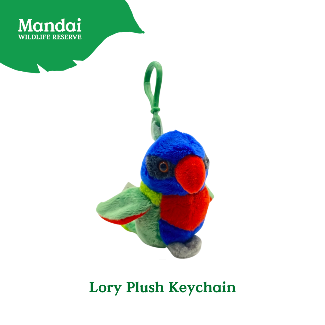 Plushie Lorry Keychain – Scarlet Macaw Edition Mandai Wildlife Reserve