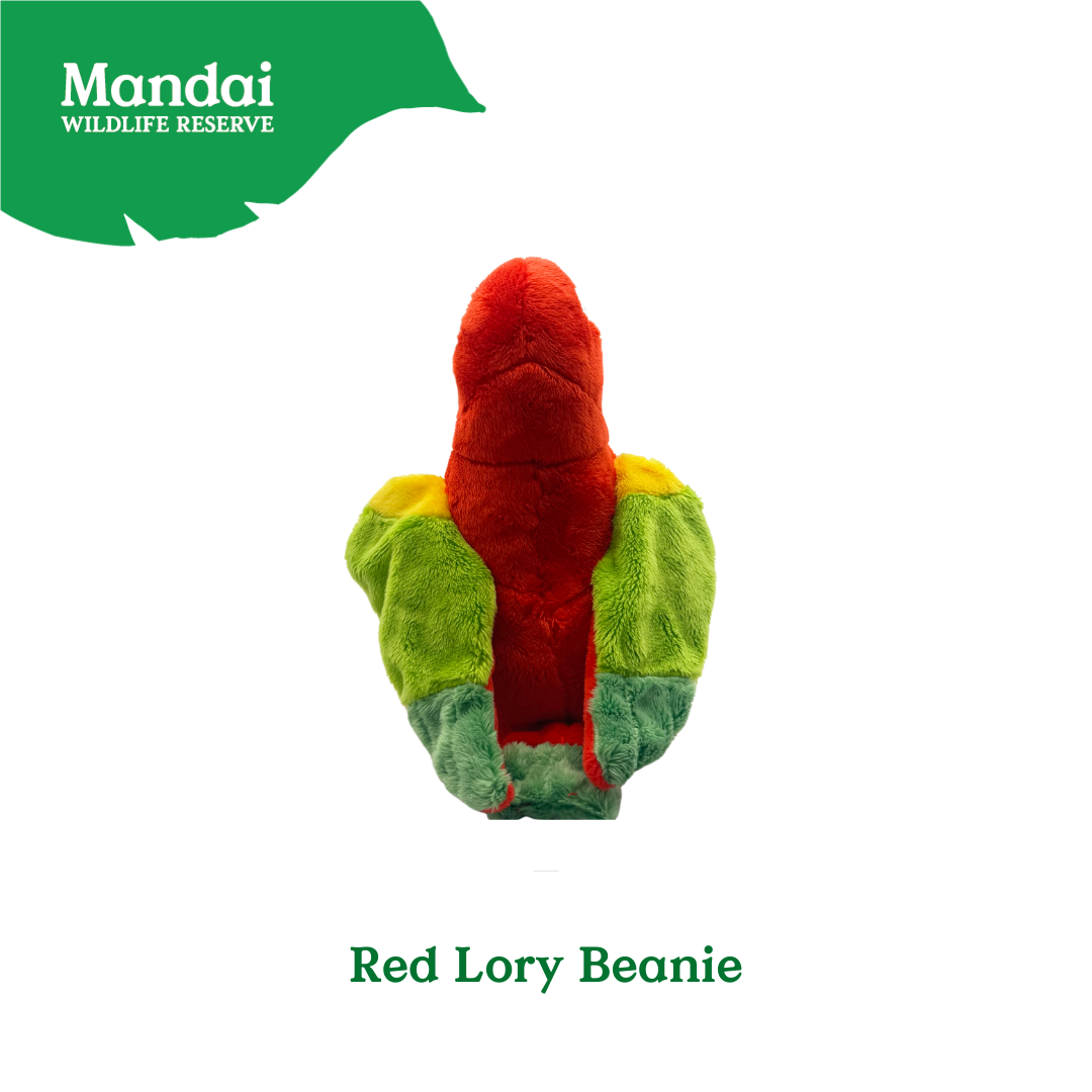 Plushie Lorry Keychain – Scarlet Macaw Edition Mandai Wildlife Reserve