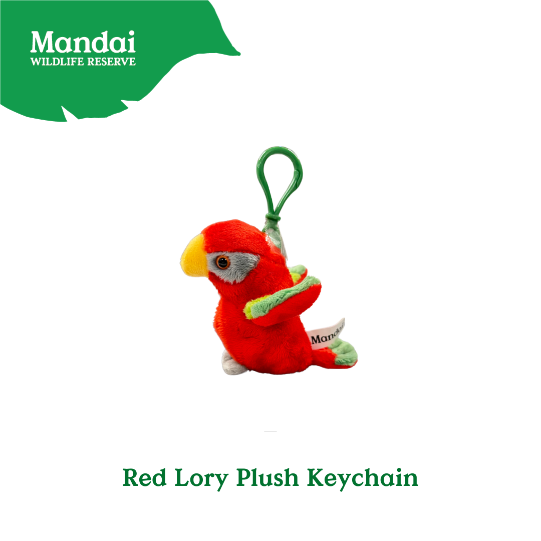 Plushie Lorry Keychain – Scarlet Macaw Edition Mandai Wildlife Reserve
