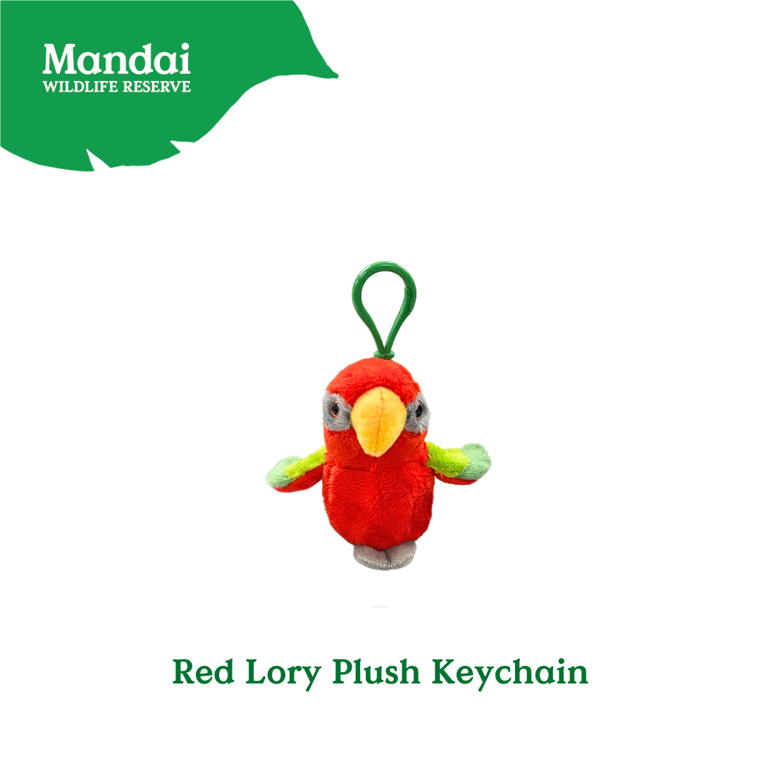 Plushie Lorry Keychain – Scarlet Macaw Edition Mandai Wildlife Reserve