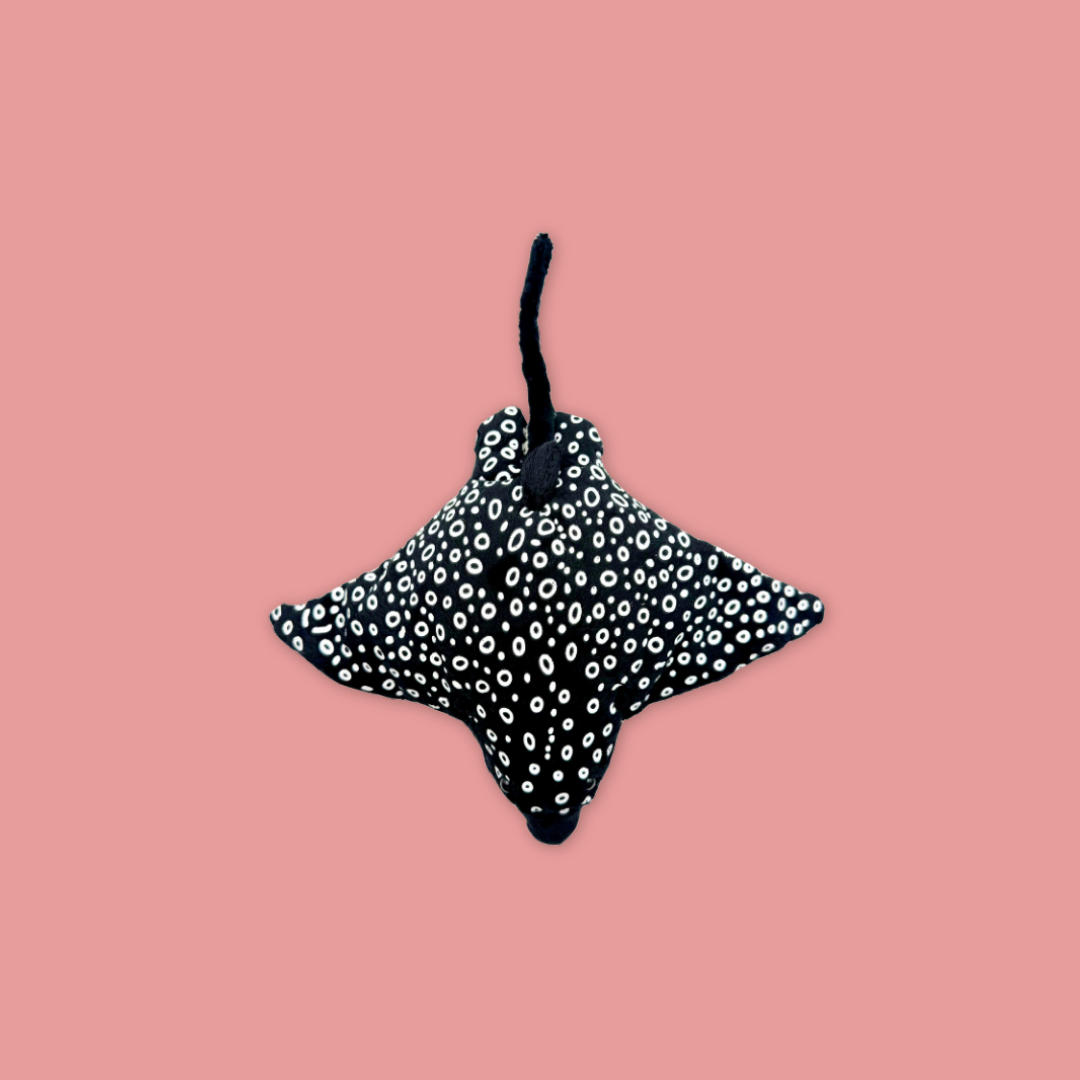 Manta Ray & Eagle Ray Beanie Plush Toys – Inspired by River Wonders MANDAI WILDLIFE RESERVE