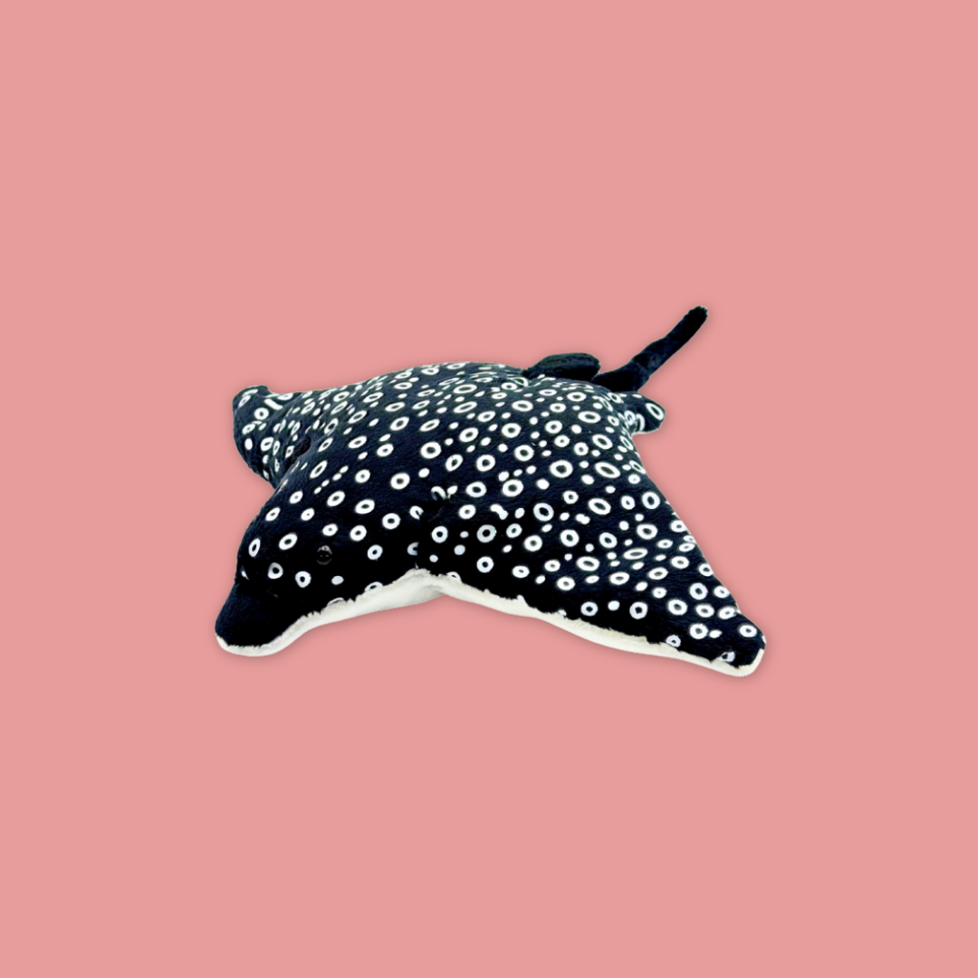 Manta Ray & Eagle Ray Beanie Plush Toys – Inspired by River Wonders MANDAI WILDLIFE RESERVE