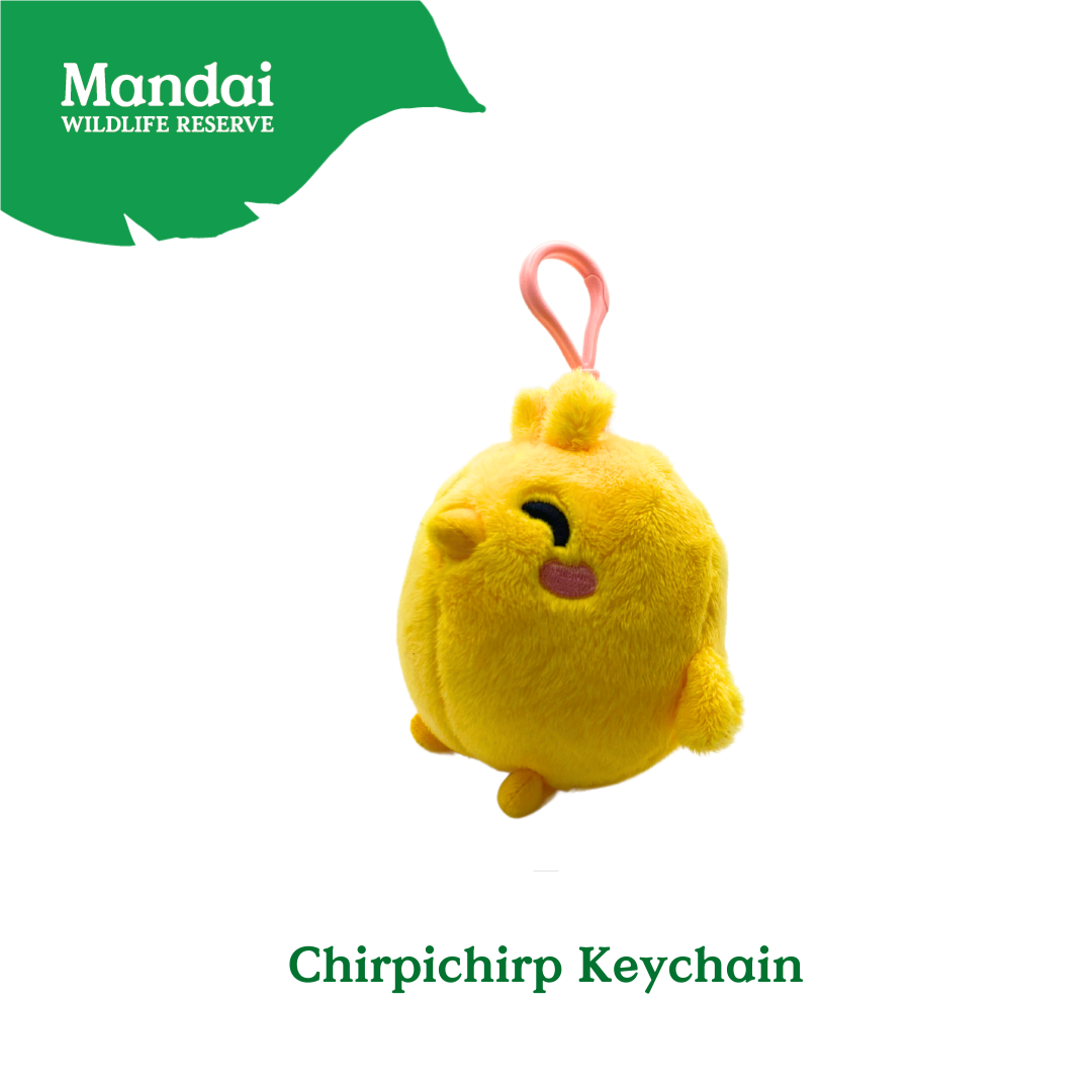 Chirp Into Style The ChirpiChirp Plush Keychain Collection at Bird Paradise MANDAI WILDLIFE RESERVE