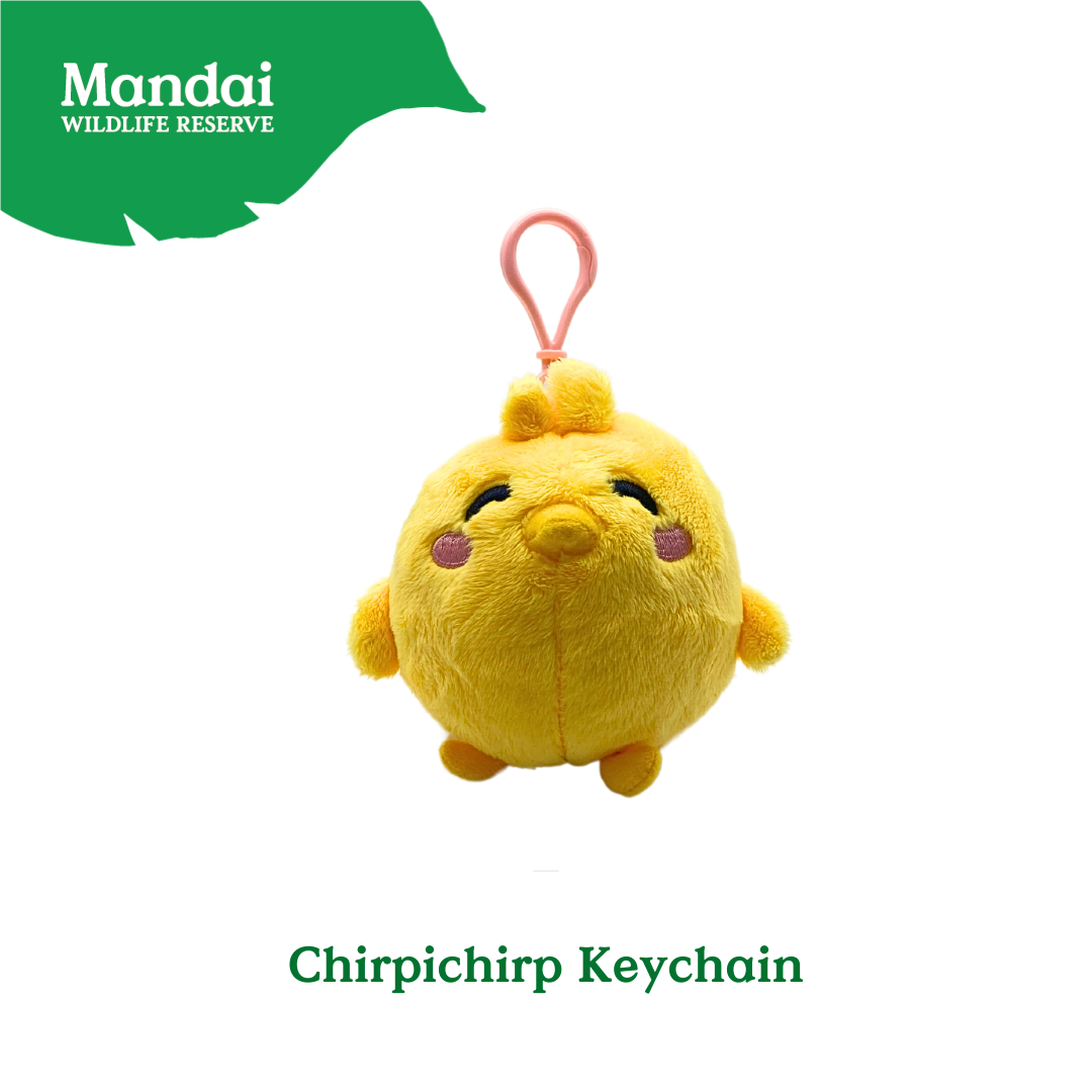 Chirp Into Style The ChirpiChirp Plush Keychain Collection at Bird Paradise MANDAI WILDLIFE RESERVE