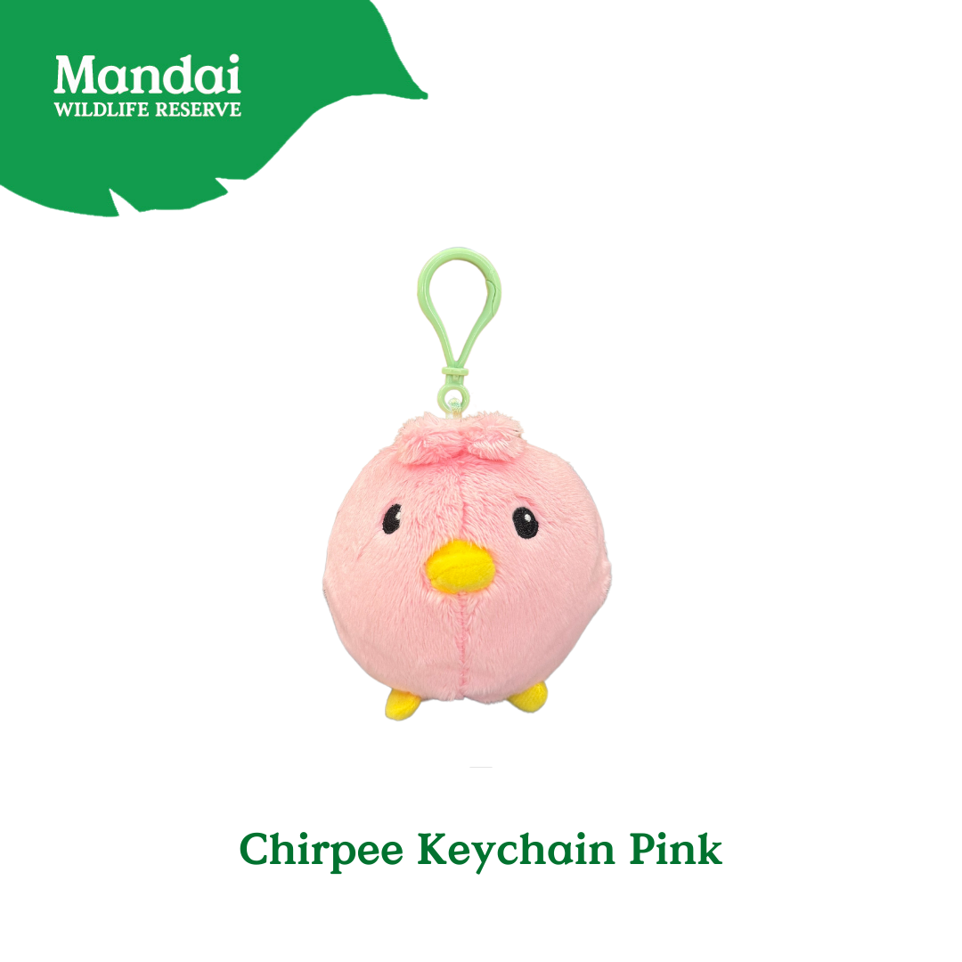 Chirp Into Style The ChirpiChirp Plush Keychain Collection at Bird Paradise MANDAI WILDLIFE RESERVE