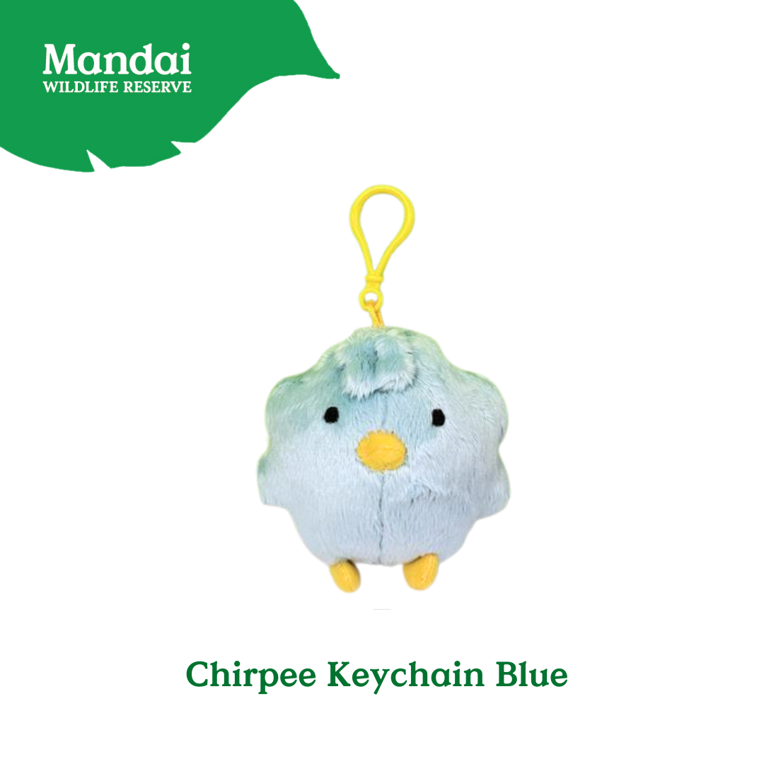 Chirp Into Style The ChirpiChirp Plush Keychain Collection at Bird Paradise MANDAI WILDLIFE RESERVE